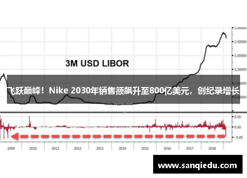 飞跃巅峰!Nike 2030年销售额飙升至800亿美元,创纪录增长